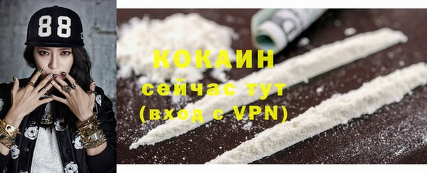 ешки Аркадак